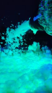 glow foam party rental alexandria ky Independence KY Cincinnati OH nighttime event